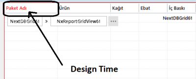 disagntime.PNG